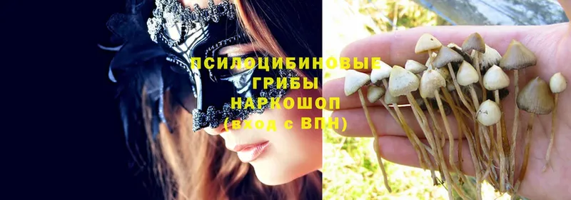 Псилоцибиновые грибы Magic Shrooms  Верещагино 